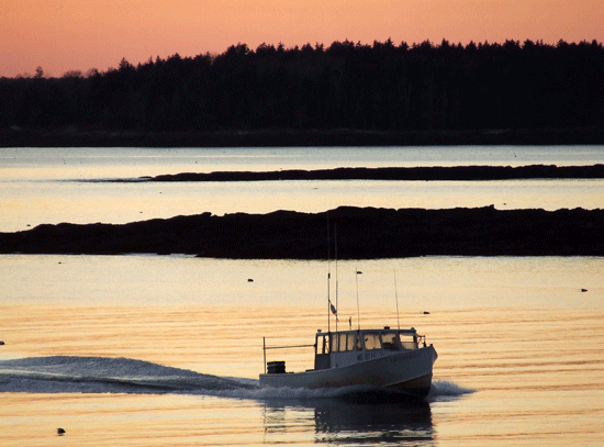 Lobster Fisherman off Malaga Island, Maine - AndreaBrand Photo Lobster Fisherman off Malaga Island%2C Maine
