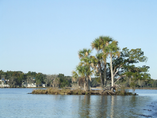 The Homosassa River%2C Florida