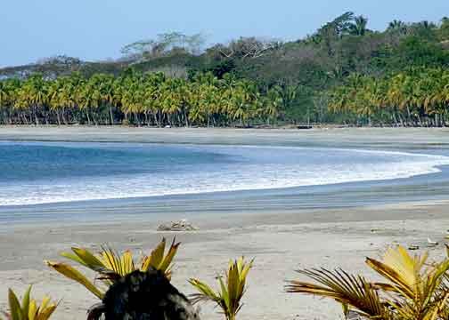 Playa-Carillo-Costa-Rica-AndreaBrandArt Playa-Carillo-Costa-Rica
