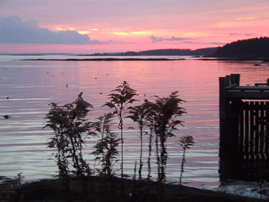 Malaga Island%2C Maine - In Shades of Pink Malaga Island%2C Maine - In Shades of Pink