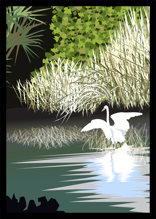 Great White Heron Graphic Illustration - Andrea Brand Art
