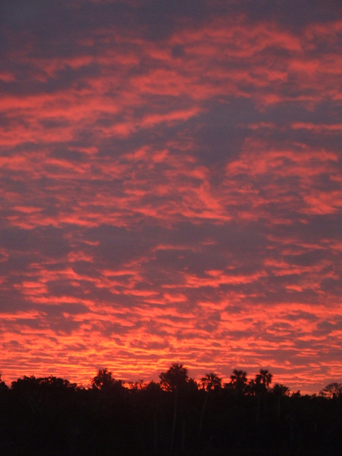 Florida Sunrise - Andrea Brand Photo