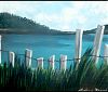 Hermit Island - Andrea Brand  Art