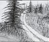 jessie-varian-sutfin-sketch-for-web.jpg