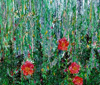 Wildflowers