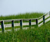 Beach Fence - Hermit Island