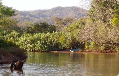 Popo’ss Kayak Ocean Tour