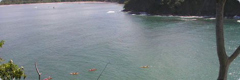 Girls Learning to Surf