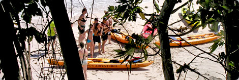 Girls Learning to Surf